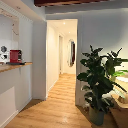 Apartman Arroios Elegance *